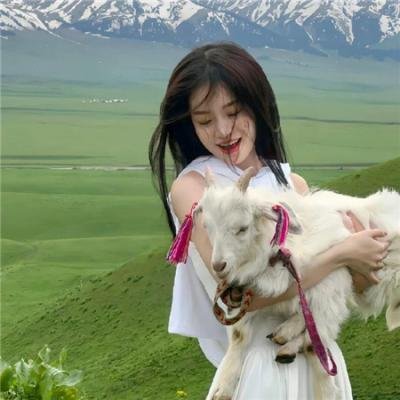 七海猎奇
