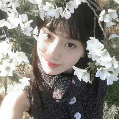 谁偷了我的粉兔子